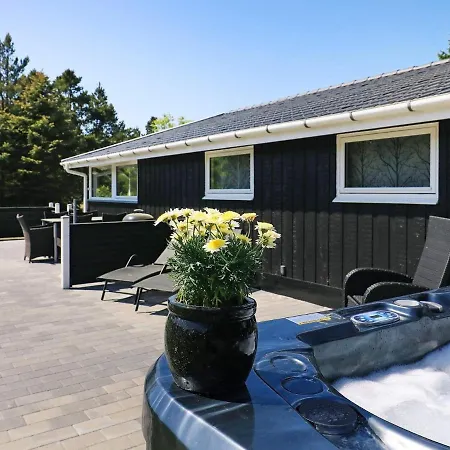 Holiday Home Blavand 別荘 *