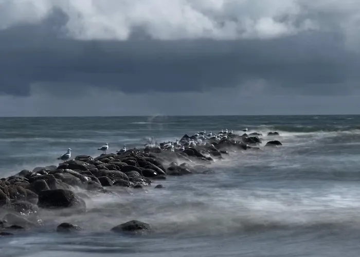 別荘 6 Person In *